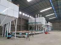 Usine de traitement des grains de café Robusta, machine de nettoyage et de calibrage des grains de café Arabica, séparateur gravimétrique