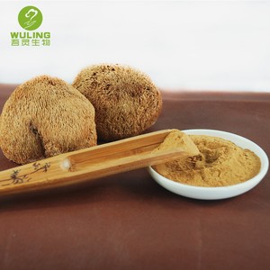 Fuente de la fábrica de los Leones Mane <span class=keywords><strong>Hericium</strong></span> <span class=keywords><strong>Erinaceus</strong></span> de polvo de extracto de - Product Image 4