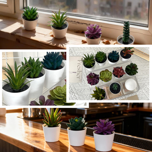 ミニPE人工多肉植物、環境に優しいプラスチック鉢植え、15cm、家の装飾用、人気の越境デスクトップバケツ、誕生日プレゼント - Product Image 5