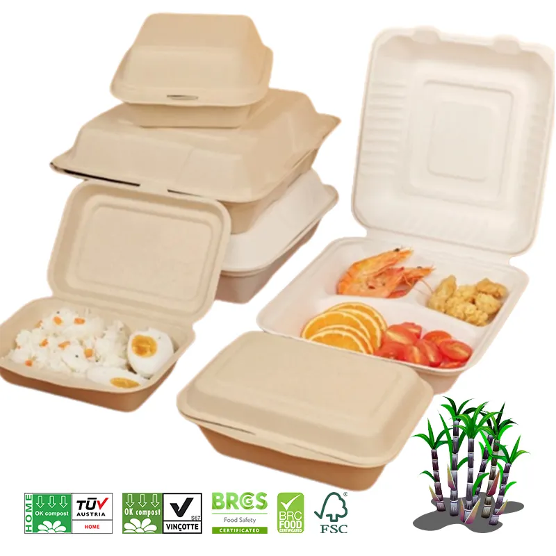 Eco Friendly Disposable Biodegradable Sugarcane Bagasse Takeaway Food Containers Lunch Box Packaging