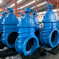 Vanne à opercule à siège élastique de grand diamètre, vanne à opercule à tige montante en fonte ductile à brides pour l'alimentation en eau