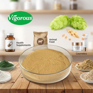 Saccharomyces cerevisiae poudre <span class=keywords><strong>de</strong></span> <span class=keywords><strong>levure</strong></span> <span class=keywords><strong>de</strong></span> brassage non aromatisée et ébréchée entièrement naturelle - Product Image 1