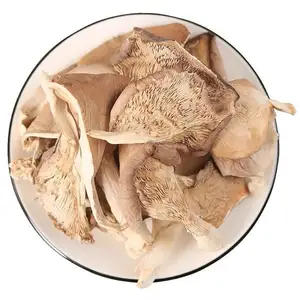 Großhandel knuspriger und köstlicher getrockneter Pilz Austern pilz