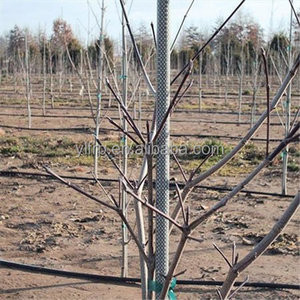 YULONG Pali per Piante in Fibra di Vetro FRP Resistenti ai Raggi UV con Servizi di Piegatura e Taglio, Superficie 3K Veil, Durata Oltre 25 Anni - Product Image 1