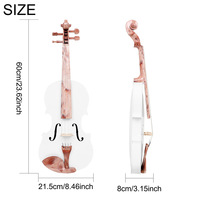 Beginner's 4/4 Violin Complete Set Varnished Finish Brazil Wood Bow ABS Accessories Violin Case Student Practice Linden Wood