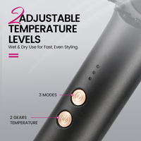 PRITECH Brosse lissante à air chaud 2-en-1 Sèche-cheveux et Styler Brosse lissante à dents en céramique 3D arrondies Fer plat Tension universelle 66W