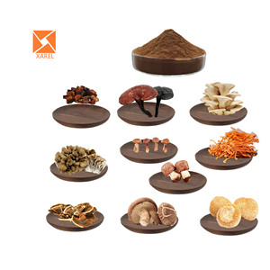 10 혼합 1 버섯 표고 버섯 마이 타케 레이시 사자의 갈기 추출물 분말 동충 하초 윤지 분말 터키 꼬리 분말 - Product Image 1