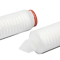 Filter Membran PES 0,04 Mikron Langsung dari Pabrik, Ukuran 10 Inci untuk Filtrasi Air Dialisis