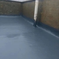 Revêtement imperméable en polyurée durable de 20 ans pour toit, mur, balcon, matériau imperméable, peinture imperméable à appliquer au pinceau et au pistolet