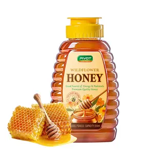 العلبة العسل الأعلى مبيعاً زجاجة العسل بلاستيكية 207 مل 254 مل 377 مل 565 مل 735 مل ذات غطاء علوي قلاب زجاجة العسل المضغوط