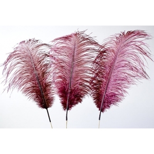 Plumes d'autruche, décoration de fête de mariage, centre de table - Product Image 6