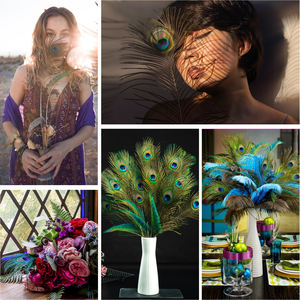 卸売 天然 25-120cm 孔雀の尾羽 コスチューム用 フェスティバルの装飾用 ジュエリー製作用 - Product Image 6