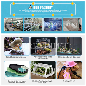 ตู้เลี้ยงสัตว์เลื้อยคลานแบบเปิดด้านหน้ากระจกเต็มบาน ขนาด 8x8x12.8 นิ้ว พร้อมฉากหลัง 3 มิติ สำหรับสัตว์เลื้อยคลานและสัตว์ครึ่งบกครึ่งน้ำ - Product Image 6