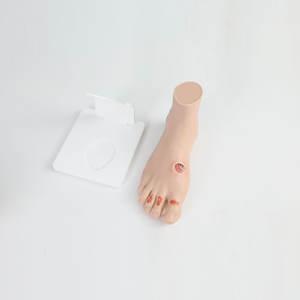 DARHMMY Alat Bantu Pengajaran Manekin Pencegahan Penyakit Kaki Diabetik - Model Gejala Ringan (PVC) untuk Pendidikan Pengasuh & Perawat - Product Image 6