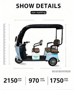 QSD- Werkslieferung 2-Sitzer <span class=keywords><strong>E</strong></span>-Trike / Elektrische Autorikscha / 60km Reichweite 2-Sitzer Elektrisches Dreirad - Product Image 4