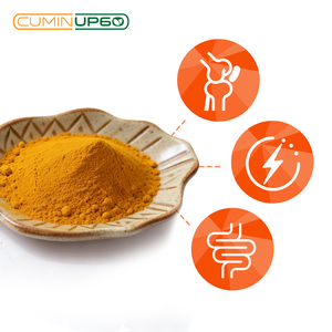 CuminUP60 Extracto de Raíz de Cúrcuma en Polvo con Alto Contenido de Curcumina Soluble en Agua, Certificado Halal, Envasado al Vacío, Probado por <span class=keywords><strong>HPLC</strong></span> - Product Image 5