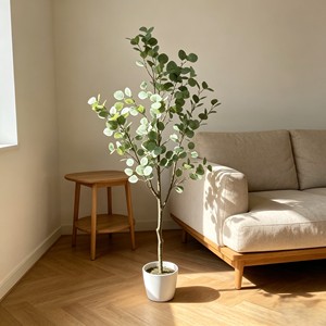 Eucalyptus, white basin magnesium oxide. Factory direct wholesale prices. Durable and evergreen. - Product Image 4