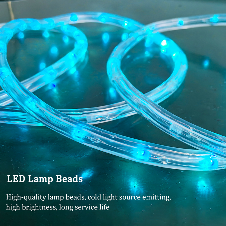 Kaxled IP65 Outdoor Christmas Decorative PVC Rope Lights with Remote Control - Product Information