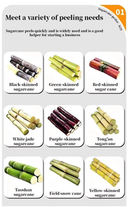 Petite machine à éplucher la canne à sucre électrique en acier inoxydable, extracteur de jus commercial, facile à utiliser, tension personnalisable pour la ferme - Product Image 2