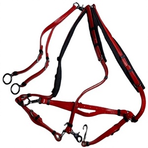 Harnais de course personnalisable pour cheval, type martingale, en PVC de haute qualité, produit équestre, fabricant de cuir Kanpur - Product Image 1