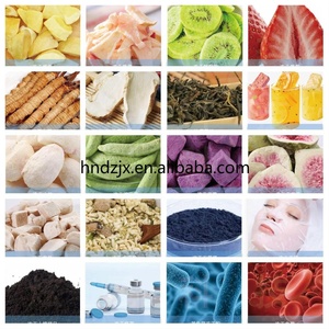 DZJX Champignon Lyophilisateur Sous Vide Bonbons Séchés 50 Kg 100Kg Lyophilisateur Dragon Fruit Pêche Lyophilisateur - Product Image 6