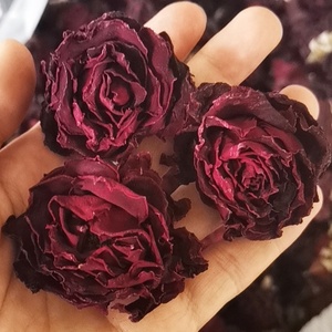 Thé à la Rose <span class=keywords><strong>séchée</strong></span> <span class=keywords><strong>de</strong></span> haute qualité, à l'<span class=keywords><strong>encre</strong></span> <span class=keywords><strong>de</strong></span> fleur <span class=keywords><strong>séchée</strong></span>, Rose rouge, 100% naturel, rouge foncé - Product Image 2