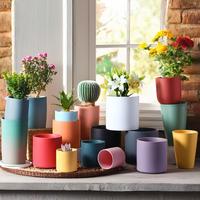 Décoration de jardin de Pot de Cactus en céramique émaillée de couleur de haute qualité pour la plantation de fleurs Design mignon pour les hôtels de bureau