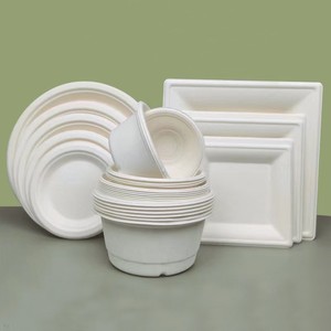 Personalizado compostable desechable biodegradable moderno restaurante que sirve caña de azúcar bagazo fruta Ramen ensalada sopa tazón transparente - Product Image 3