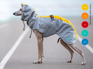 Hound impermeabile Pop of Color <span class=keywords><strong>grigio</strong></span> impermeabile per cani - Product Image 4