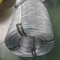 Fil d'acier galvanisé à chaud de qualité supérieure, fourni directement par l'usine, 0,5 mm, 1 mm, 2 mm, 3 mm, 4 mm, bobine d'acier galvanisé à faible prix