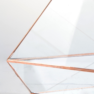 Bauen sie ihre eigenen einzigartigen <span class=keywords><strong>terrarium</strong></span> mit diesem kleinen <span class=keywords><strong>terrarium</strong></span> kit - Product Image 5