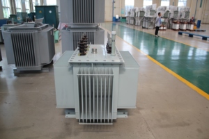 Transformador de Potencia Sumergido en Aceite S13-800kVA 11/10kV 50/60Hz Trifásico Capacidad 800-1000kVA Eficiencia Energética de Primera Clase - Product Image 6