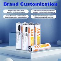 Piles lithium-ion AAA rechargeables par USB 1,5 V avec port de charge USB-C. Comprend un chargeur.