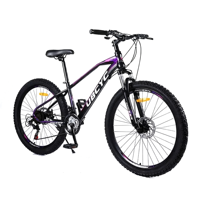 Bicicleta de Montaña 29er en Oferta, Bicicletas de Aleación de Aluminio de 29 Pulgadas, Bicicleta de Montaña para Hombre de 29 Pulgadas/Bicicleta de Montaña Económica