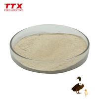Additif Microbien Probiotique pour Aliments Avicoles Bacillus Subtilis Poudre de Qualité Alimentaire pour Animaux 20-200 Milliards d'Activités