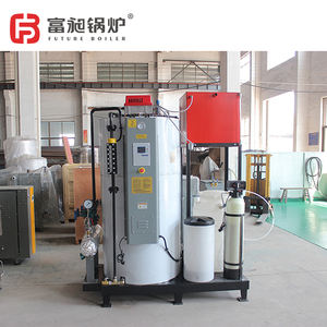 Caldera Futura de 100 kg/h, Caldera de Vapor de Baja Presión, Automática con un Solo Clic, de Gas Natural o GLP, para Calefacción, para África - Product Image 4