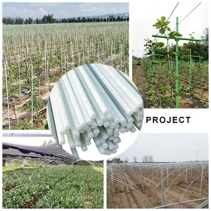 Corrosion resistance fiberglass flower support frame fiberglass tree standing pole FRP rod for agriculture