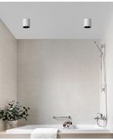 Projecteur monté en surface étanche IP65 vente en gros Spot COB 10 15 20 30 40 60W plafonnier LED Downlight