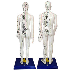60 सेमी उत्कीर्ण मानव एक्यूपंक्चर मेरिडियन मॉडल, पारंपरिक चीनी चिकित्सा शिक्षण मॉडल - Product Image 5