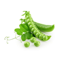 Graines de pois verts 99% de pureté Origine Pakistan 85% de germination Durée de conservation de 2 ans Vente en gros commerciale