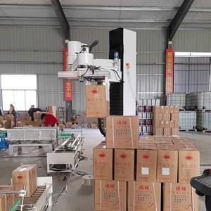 Nuevo equipo de paletización automatizado, máquina paletizadora de caja de bolsas a la venta equipada con componentes centrales, Motor PLC y motor - Product Image 4