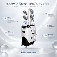 Appareil de beauté professionnel multifonction 360 Cooling avec plusieurs applicateurs pour salon, spa et centre de beauté