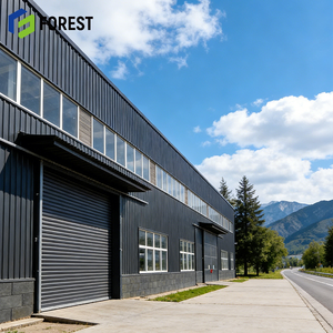 Servicios Profesionales de Ingeniería y Montaje de Estructuras de Acero para Proyectos de Construcción Llave en Mano - Product Image 1