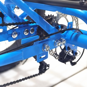 Trikes électriques bon marché, tricycles cargo 3 roues, moto, vélo cargo à trois roues pour adultes, tricycles électriques motorisés pour adultes - Product Image 5