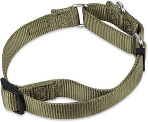 Collar antirrobo de nailon para mascotas, collarín de alta resistencia mejorado para perros, entrenamiento y caminar - Product Image 3