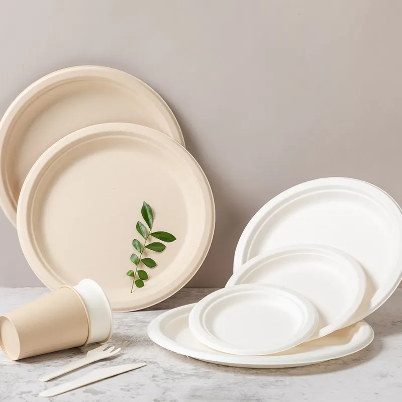 100% Biodegradable Bagasse Pulp Plates for Disposable Tableware