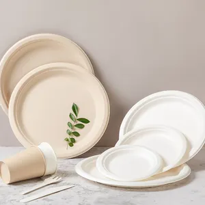 100% Biodegradable Bagasse Pulp Plates For Disposable Tableware