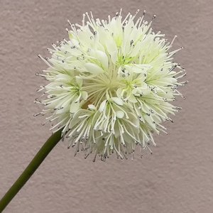 S020 Haute Qualité Unique Tige Soie Pompon Fleur Blanc Boule Artificielle Fleurs Soie Artificielle Unique Géant <span class=keywords><strong>Allium</strong></span> Fleur - Product Image 3
