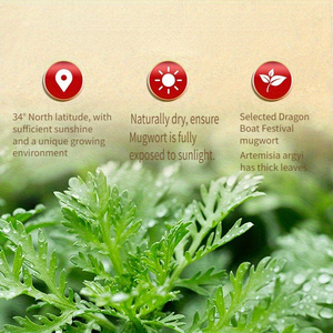 Patchs de soulagement de la douleur au genou par moxibustion-Coussinets chauffants naturels à base de plantes à l'armoise pour le confort articulaire Soutien à la relaxation musculaire - Product Image 2