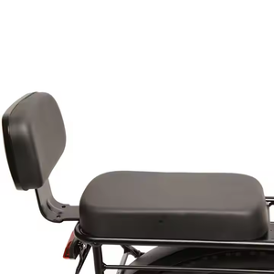<span class=keywords><strong>Vélo</strong></span> de montagne <span class=keywords><strong>électrique</strong></span> TXED à <span class=keywords><strong>prix</strong></span> de gros d'usine, moteur sans balais, suspension, 7 vitesses, frein à disque, commande intelligente, pour sports de plein air - Product Image 6